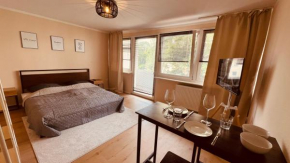 1 Zimmer Apartment Balkon Sana Klinik No2